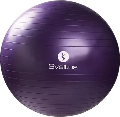 Obrázek produktu pro Gymball - Gymnastický míč 75 cm - fialový, velikost: OSFA
