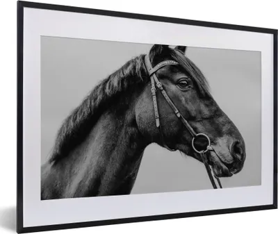 Produktbild von MuchoWow® MuchoWow® Gerahmtes Poster Pferd - Halfter - Porträt 60x40 cm - Poster mit zchwarzem Bilderrahmen - Schlafzimmer - Plakat in Rahmen - Drucken