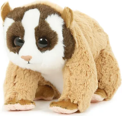 Produktbild von Plüschtier Plumplori 18 cm, Kuscheltiere Stofftiere Wildtiere Zootiere Tiere hellbraun