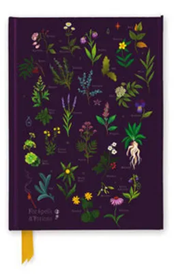 Zdjęcie produktu dla Anna Stead: For Spells & Potions (Zafoliowany dziennik)