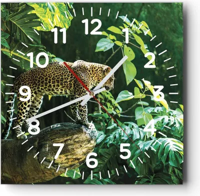 Produktbild von Wanduhr - Quadrat - Glasuhr - Dschungel Leopard Panther - 40x40cm - Schleichendes Uhrwerk - Lautlos - zum Aufhängen bereit - Dekoration Modern - Wanddekoration aus Glas - C4AC40x40-4502