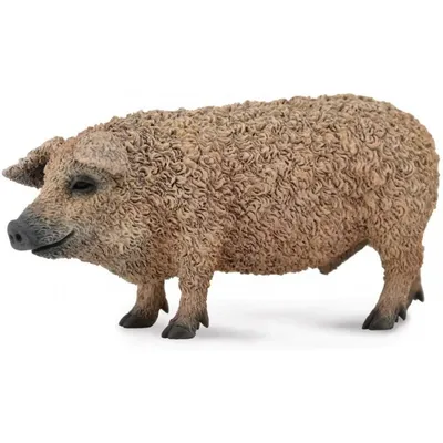 Produktbild von Collecta - Cerdo Mangalica -M- 88674 (90188674) COLECTA