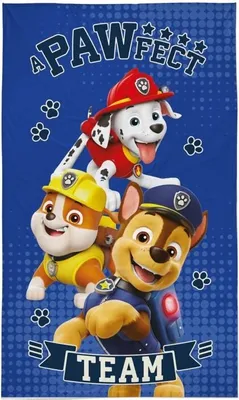 Produktbild von DETEXPOL Ręcznik dziecięcy Paw Patrol Team bawełna - frotte, 50/30 cm