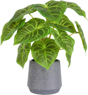 Imagen del producto de Planta artificial de suculenta, de 32 cm, con maceta, ideal para salón y oficina
