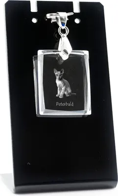Produktbild von Peterbald - Crystal cat pendant, photo necklace, unique jewellery by Art-Dog