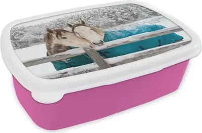 Produktbild von KitchenYeah® Lunchbox Brotzeit Brotdose 17x11 cm Pferde - Decke - Schnee Kinder Brotzeitdose - Lunchpaket - Brotkasten  - Sandwich Box