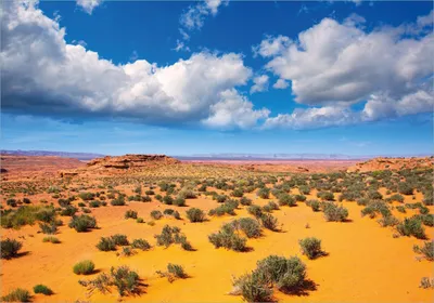 Produktbild von Wallario selbstklebendes Poster - Wüste in Arizona - blauer Himmel mit Wolken I, Größe: 70 x 100 cm