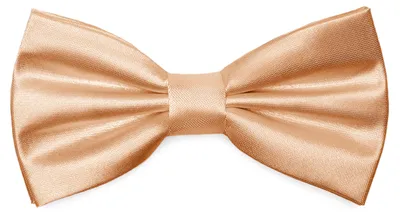 Produktbild von Ladeheid Elegante Herren Fliege -Hochwertig Glänzend Verstellbar BMS (12cmx6cm)