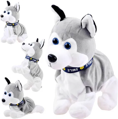 Image de Husky interactif ZA1333