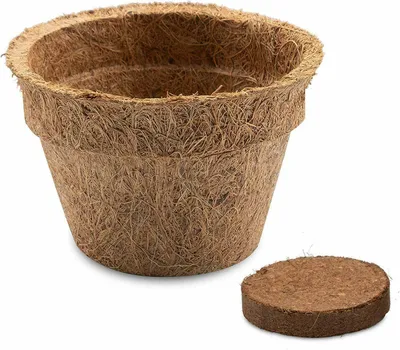 Produktbild von Kokos Anzuchttöpfe & Quelltabletten für eine erfolgreiche Anzucht - torffrei - Größe: 0,15 L - Ø 8 cm 5x