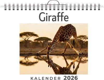 Immagine prodotto di Giraffa