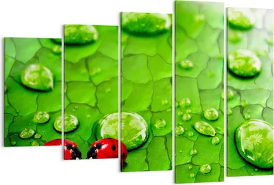 Produktbild von Bild auf Leinwand - Leinwandbild - Marienkäfer Gras Blatt Tropfen - 150x100cm - Wand Bild - Wanddeko - Leinwanddruck - Bilder - Kunstdruck - Leinwand bilder - Wandkunst - EG150x100-2363