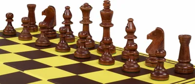 Immagine prodotto di Set di scacchi da torneo - pezzi in legno CHW26 ART (re 90 mm) + scacchiera pieghevole in cartone con campo da 55 mm + borsa in velluto