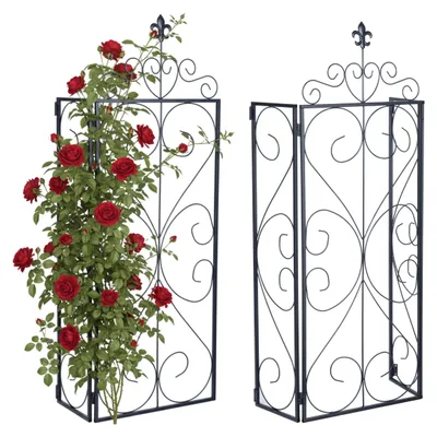 Image de Lot de 2 structures de support pour plantes, idéales pour le jardin