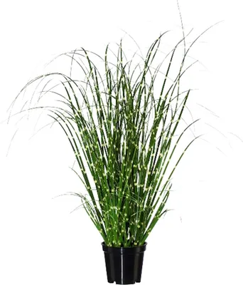 Produktbild von Künstliches Zebragras Miscanthus Zebrinus im Topf H. 42cm grün GASPER