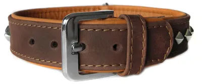 Produktbild von Das Lederband Hundehalsband Roma mocca/cognac, Länge: 65 cm / Breite: 40 mm