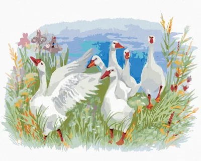 Produktbild von Zuty - Malen nach Zahlen - GÄNSE AUF DEM BAUERNHOF, 40x50 cm, mit Keilrahmen (bereits gespannt)