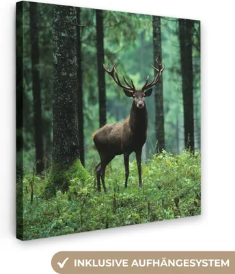 Produktbild von MuchoWow® - Leinwandbilder - Hirsche - Wald - Bäume - Tiere - Natur, Wandbild, Wanddeko Bilder Wohnzimmer, 20x20 cm