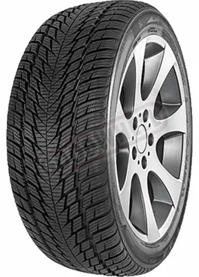 Image de 205/40R17 84V Polarbear Uhp2 Xl