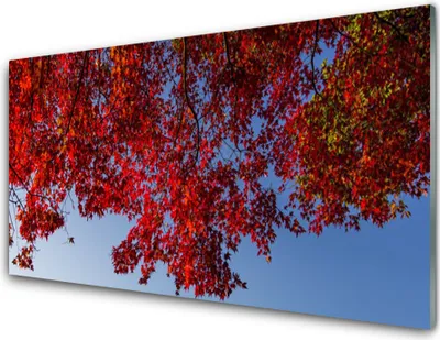 Produktbild von Acrylglasbilder 100x50 Wandbild Druck Zweige Blätter Pflanzen