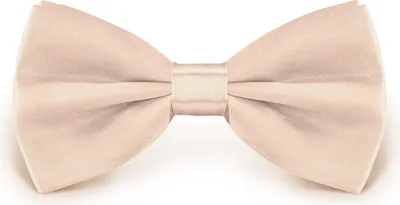 Produktbild von Fliege Creme Größe verstellbar aus Polyester einfarbig uni schmale 12 cm