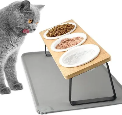 Produktbild von Famanu erhöhte Katzenschüssel aus Edelstahl, kippsicher, Futterstation für Katzen