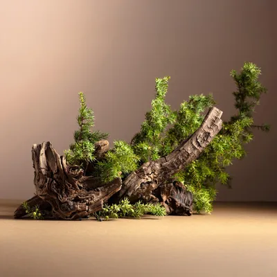 Produktbild von Wallario Möbeldesign / Aufkleber, geeignet für Ikea Lack Tisch - Komposition aus Holz und Grün in 55 x 55 cm