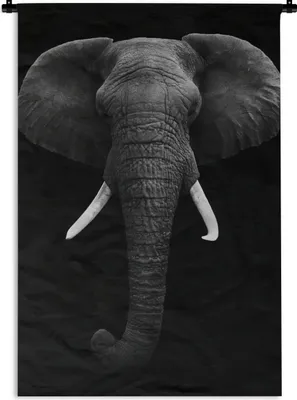 Produktbild von MuchoWow® Wandteppich Wandbehang Elefant - Wildtiere - Schwarz - Weiß - Porträt 90x135 cm Tapisserie Dekoration Wandtuch - Baumwolle - Wandskulptur