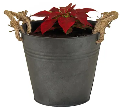 Produktbild von Mega Collections Eimer/Pflanztopf Old Rope -Zink - anthrazit - D30 X 29 cm