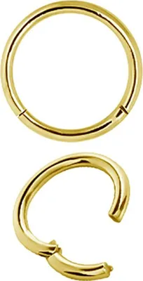 Produktbild von Karisma Hinged Titan G23 Segment Ring Nasenring Nasenpiercing- 1,2x8mm - Gold