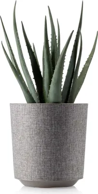 Immagine prodotto di HowHomely | Fioriera Aloe Texelle, Taupe - 19,5 x 20 cm - Vasi da fiori, Eleganti, Pratici