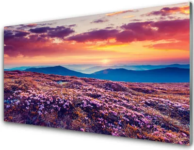 Produktbild von Acrylglasbilder 100x50 Wandbild Druck Wiese Gebirge Blumen Natur