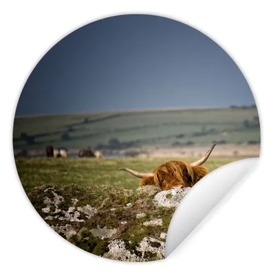 Produktbild von MuchoWow® Runde Wandtattoo - Wandsticker Tapete Aufkleber Schottische Highlander - Steine - Gras Ø 50 cm Selbstklebend und Repositionierbar - Wandaufkleber - Kreis - Wand Kreis - Wand Bild - Foto Tapete - Selbstklebende - Wohnzimmerdekoration - Wand Dekoration - Kinderzimmer