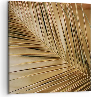 Produktbild von Bild auf Leinwand - Leinwandbild - Einteilig - Blatt Gold Pflanze - 50x50cm - Wand Bild - Wanddeko - Wandbilder - Leinwanddruck - Bilder - Wanddekoration - Leinwand bilder - Wandbild - AC50x50-5041