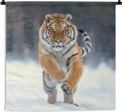Produktbild von MuchoWow® Wandteppich Wandbehang Tiger - Landschaft - Schnee - Tiere 60x60 cm Tapisserie Dekoration Wandtuch - Dekorationen - Wand Decke