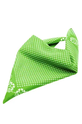 Produktbild von Traditional Bandana lime-green, Gr. one size