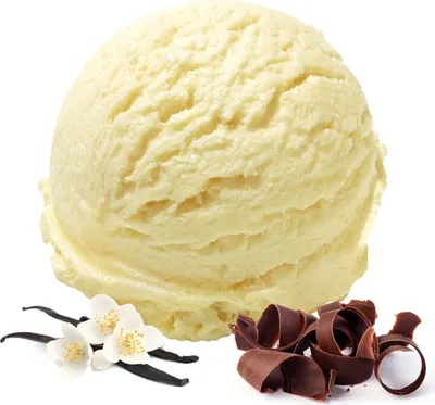 Image de Glace vanille stracciatella en poudre 1 kg