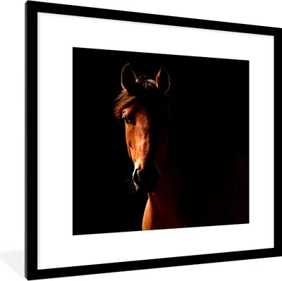 Produktbild von MuchoWow® Gerahmtes Poster Pferd - Licht - Porträt 40x40 cm - Poster mit Schwarzem Bilderrahmen Wandposter Rahmen Foto Bilder - Poster - Plakat im Rahmen