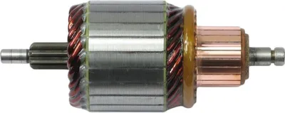Obrázek produktu pro Startovací Rotor