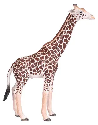 Produktbild von Mojo Wildlife Wildtier-Safari-Spielset, 6-teilig. - 380026