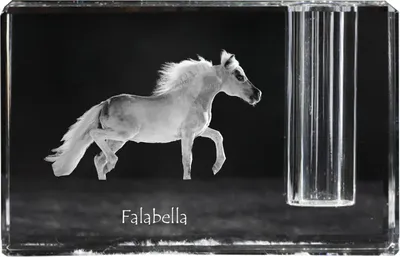 Obrázek produktu pro Falabella - Stojan na pera, křišťálový organizér s obrázkem koně, jedinečná dekorace na stůl značky Art-Dog