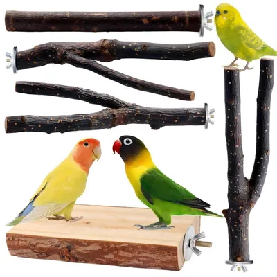 Immagine prodotto di Set da 5 pezzi di posatoi con piattaforma per pappagalli e parrocchetti, in legno naturale, lunghezza 20,8 cm