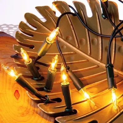 Produktbild von Lichterkette innen 20 klare warme Lichter, beleuchtet 2,85m, Kabel grün, Stecker