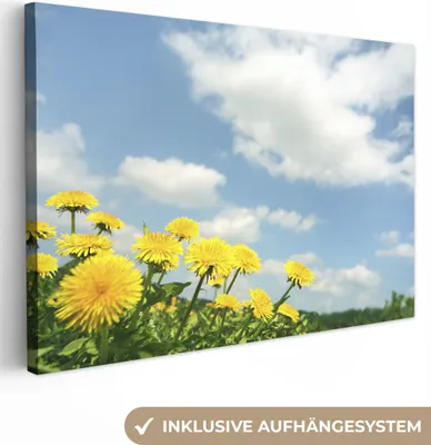 Obrázek produktu pro OneMillionCanvasses® - Obrazy na plátně - 140x90 cm, Mraky - Pampeliška - Jaro, nástěnné umění Vytisknout Nástěnná dekorace