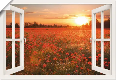 Produktbild von Alberto Zornetta: Fensterblick - Mohnblumenfeld bei Sonnenuntergang, Produkt:Poster, Größe (HxB):70x100 cm / Poster