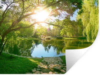 Produktbild von MuchoWow® Wandtattoo Wandsticker Wandaufkleber Bäume - See - Sonne - Gras - Natur 40x30 cm Selbstklebend und Repositionierbar - Faltenfrei