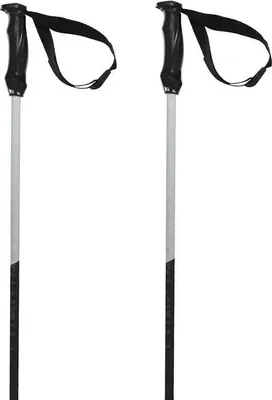 Produktbild von Volkl Phantastick Iii Stöcke Silber 110 cm Herren,Damen Silber 110 cm