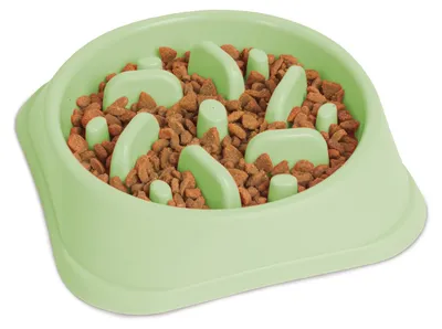 Immagine prodotto di Ciotola per cani con funzione anti-ingurgitamento – 20 cm – Verde [60061C]