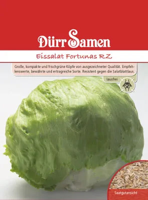 Artikelbild 1 von 'Eissalat Fortunas RZ' aus der Kategorie Eissalatsamen