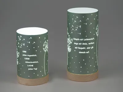 Produktbild von 2er Set LED Tischlampen Pusteblume mit Spruch H. 20cm grün mit Timer Formano WA